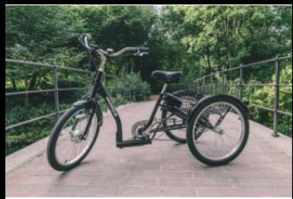 EL_Senior_Handicap_cykel