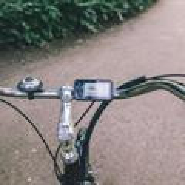 EL_Senior_Handicap_cykel4